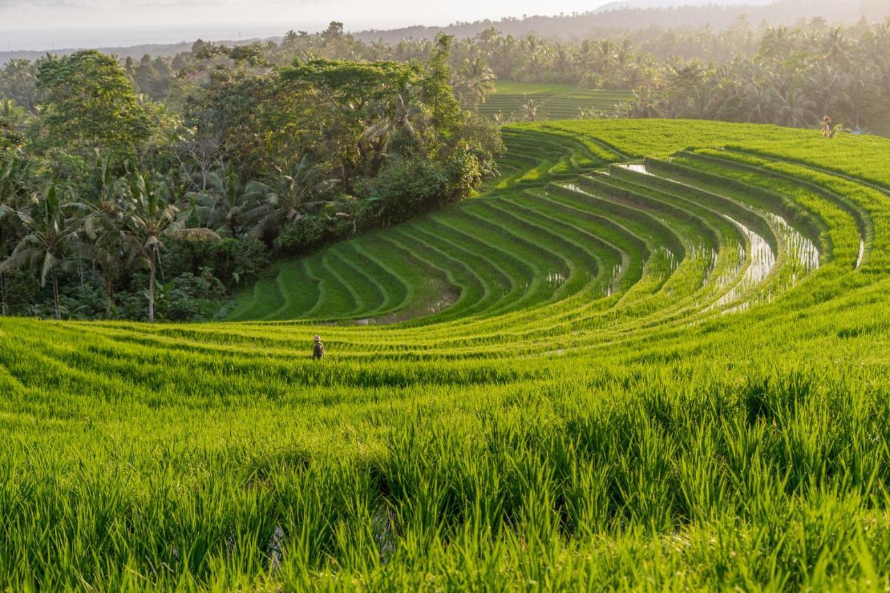 Galalima Glamping By Agata Hotel Meliling ภายนอก รูปภาพ